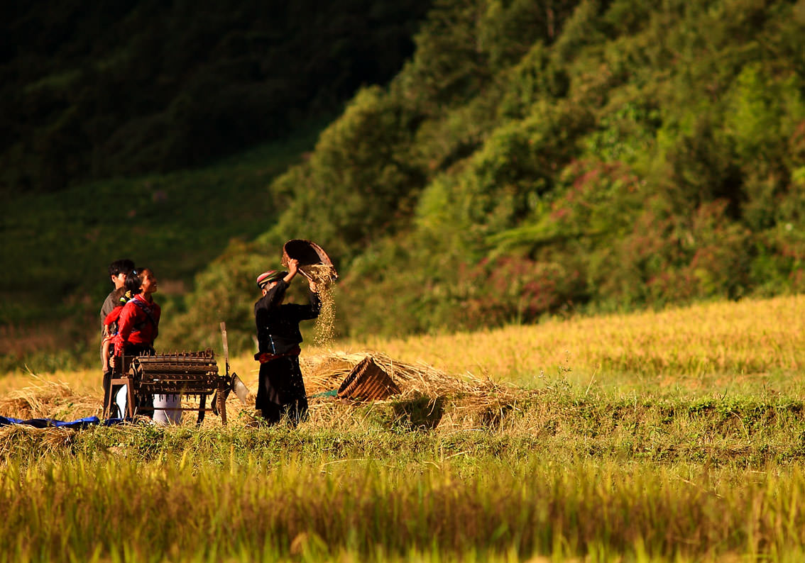 On the roads of clouds and rice in Y Ty